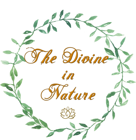 The Divine in Nature